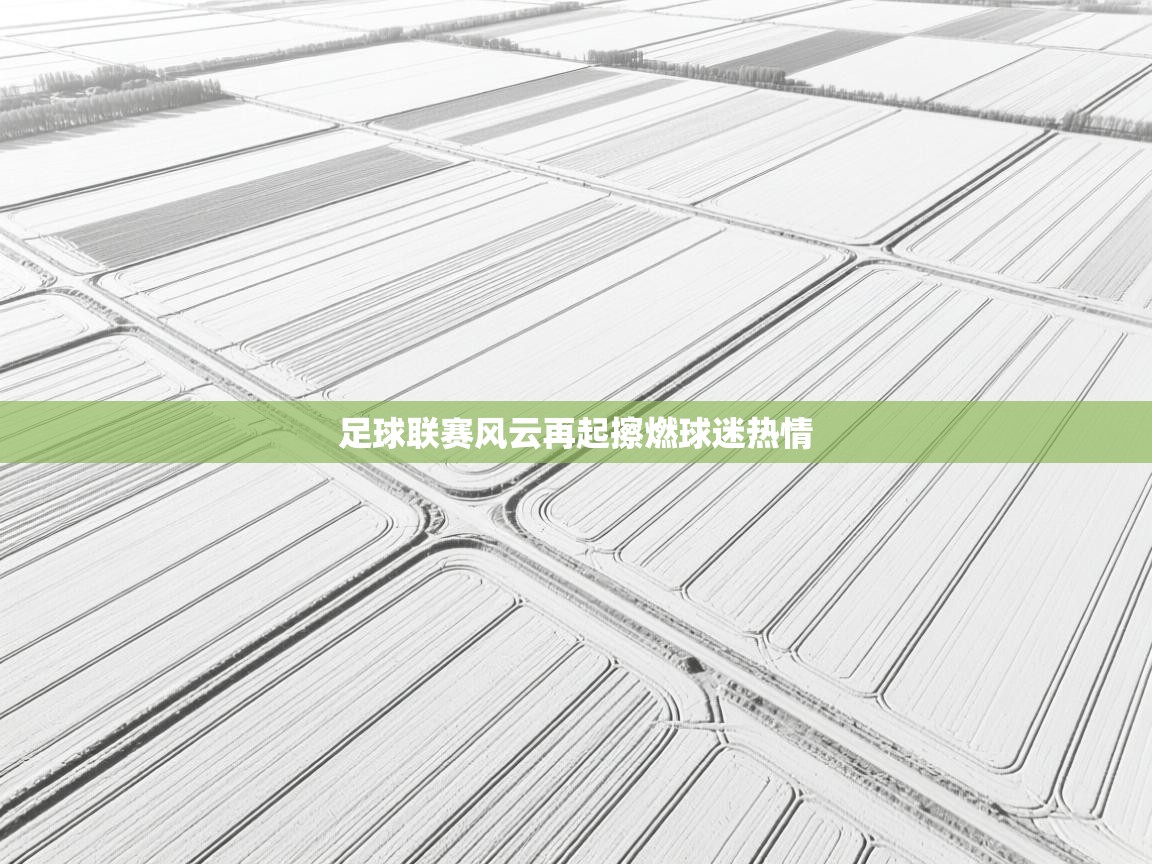 足球联赛风云再起擦燃球迷热情  第1张
