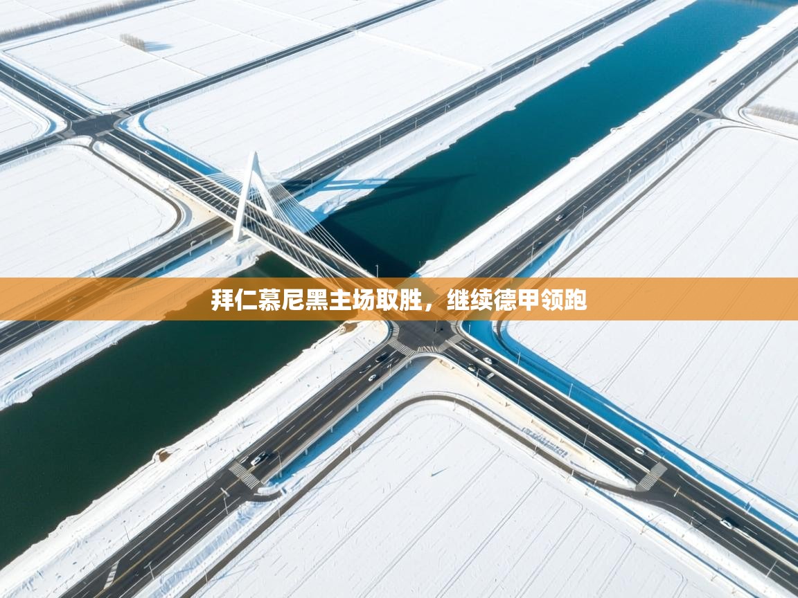 拜仁慕尼黑主场取胜,继续德甲领跑 第1张